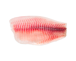 Caja filet tilapia 4.54kg cong 3-5 oz (18 a 20u)