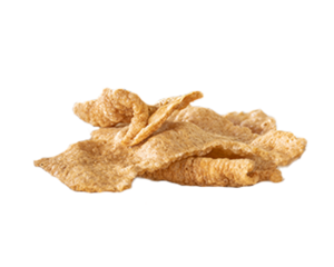 Chicharrón tostado de cerdo concha bolsa 250g