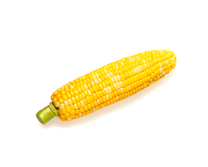 Elotes ud