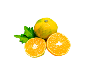 Limón mandarina 4 uds