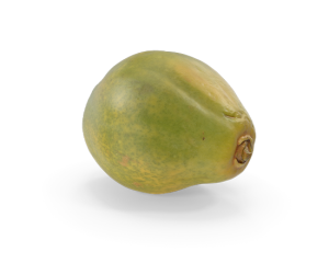 Papaya 1.7kg a 1.9kg (1.8) kg